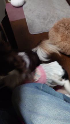 美味しい匂いがわかるの記事動画