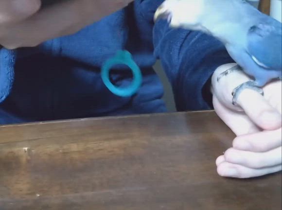 海くんの記事動画