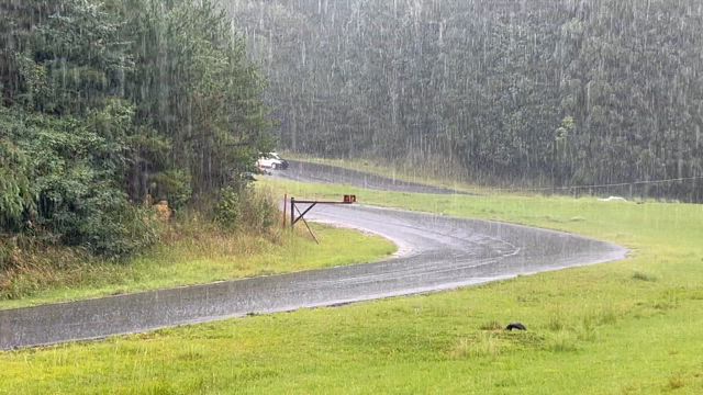 【2024クリニックフェスmini】完了しました！そしてうえしま53歳の記事動画