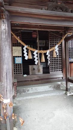 ちょっとだけ秋♬の記事動画