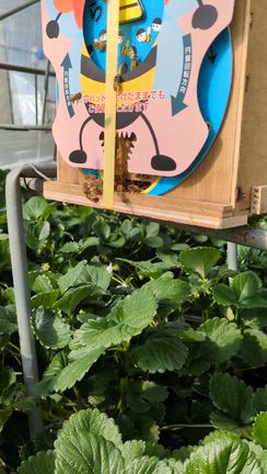 秋から冬への記事動画