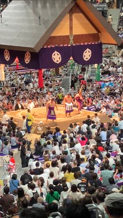 大相撲の記事動画