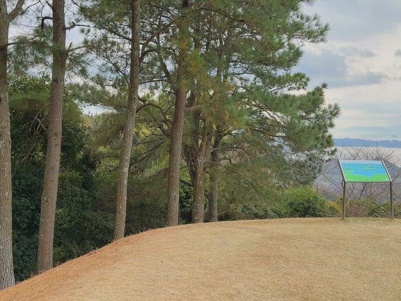 出版日に自己ベスト＆ハーフベストの記事動画