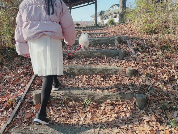 ☆2026年❤︎お散歩☆ | ともかのブログ