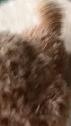 一人暮らしか重度障害者施設か？の記事動画