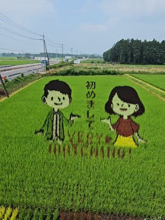 田んぼアートの記事動画