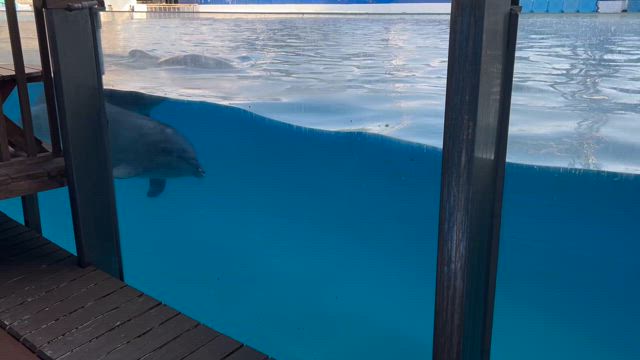 ☆スピリチュアルな出逢いと最強ヒーリング☆の記事動画