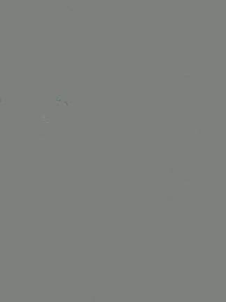 クリスマスの悲劇の記事動画