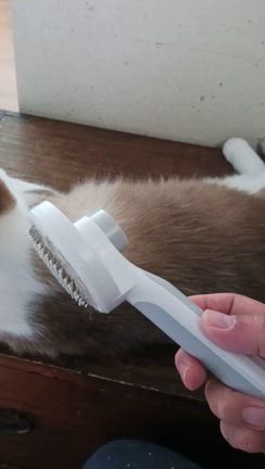 【６月２８日　土曜日　更新】猫雑貨いろいろご紹介。たまにはブログで作品解説します♪の記事動画