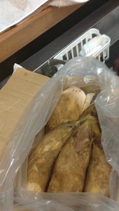 仕入れの記事動画