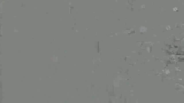 祝！伊藤えみ（伊藤芳月）東京花展出瓶！のお知らせの記事動画