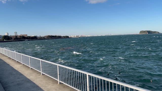 雨の日のまったりデーと強風のまったりデートの記事動画