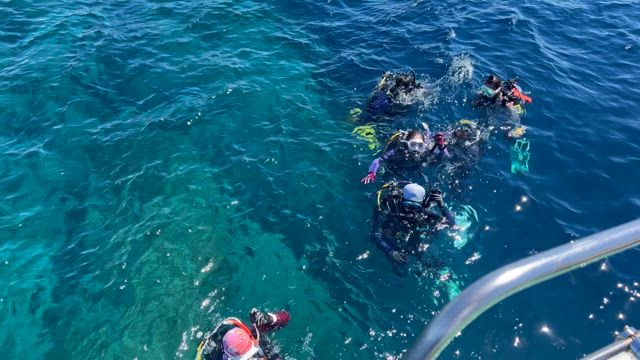 サタデーナイト便＆次の日はダイビングの記事動画