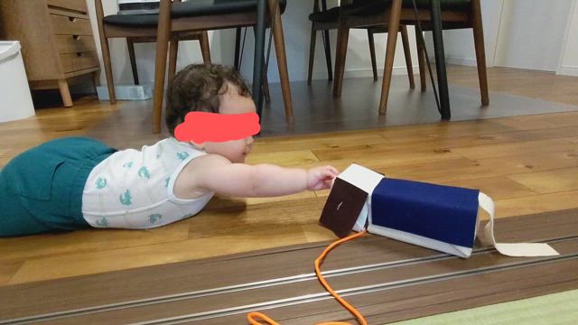 ナニコレ感の記事動画