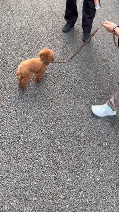 奇跡✨の記事動画