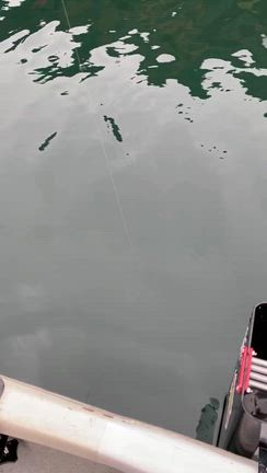 釣果報告の記事動画