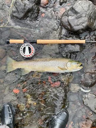 中禅寺湖② | チョッチの釣りブログ no fishing no life