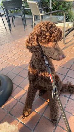 スタバでまったり。の記事動画