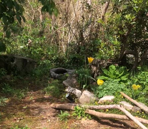 ブラック・ヒーローのダブルブラックというお話しの記事動画