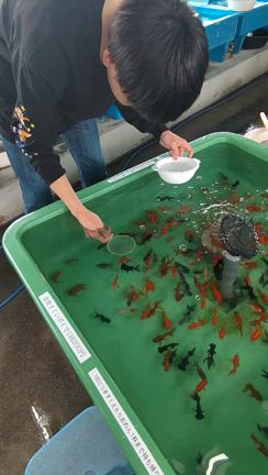 疲れてる時の会話と次男帰京の記事動画