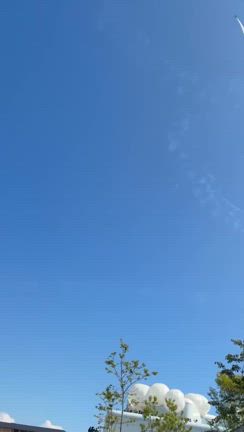 ブルーインパルスと七福神で串カツの記事動画