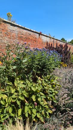 ウインポール・エステートの記事動画