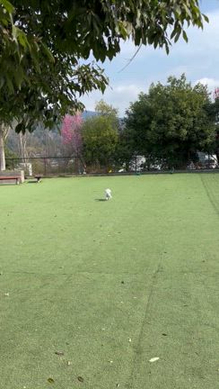 春旅〜！①の記事動画