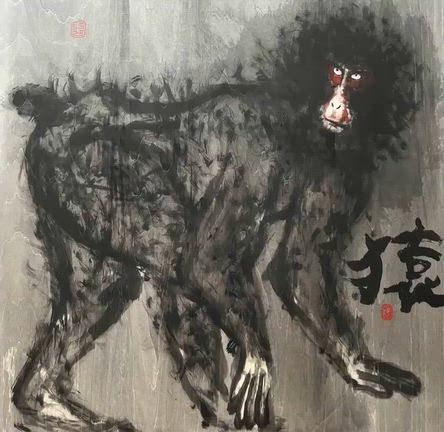 ♦️ニホンザル♦️の記事動画