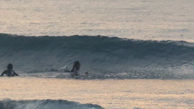 朝は、吉浜にの記事動画