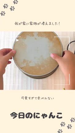 【開催】移動距0分‼︎栃木県から愛知県へデコ食パンの対面レッスンを検討されていた生徒様が激変‼︎の記事動画