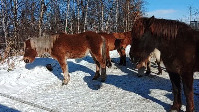 撮って撮っての記事動画