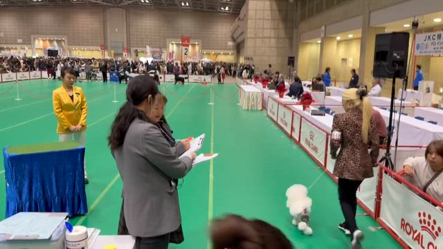 東京インター♡ jkc特別本部展♡の記事動画