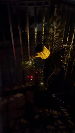 アピオスとプランター葬の記事動画