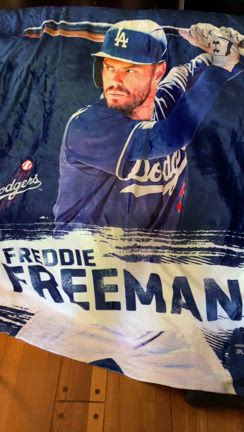 フレディブランケット開けた途端にホームランの記事動画