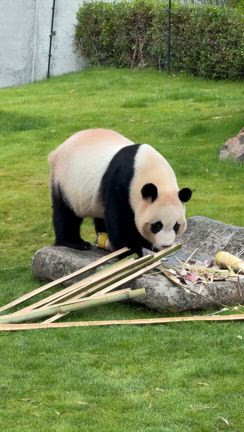 アドベンチャーワールドの記事動画