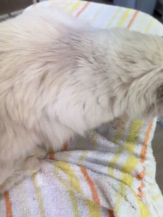 2026/01/20の記事動画