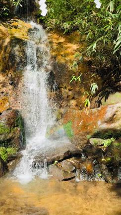 ☆ご感想の前に御福分け☆の記事動画