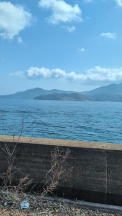 家族旅行、2月22日の日曜日、2026の記事動画