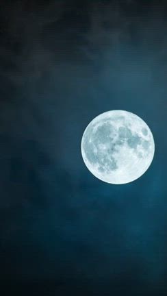 今年の十五夜はいつ？の記事動画