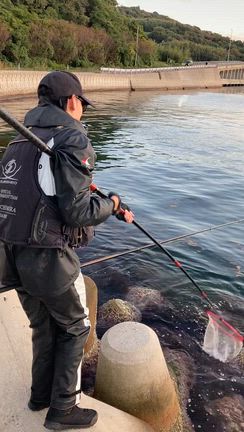 11月15、16日〜近場と西磯のフカセ釣り〜の記事動画