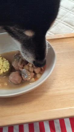 娘になってくれてありがとうの記事動画