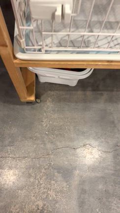 箱大好き系ワンコの記事動画