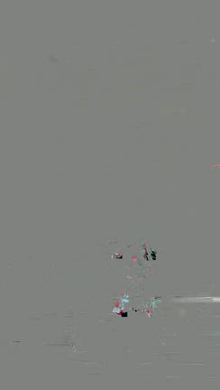 加古川ハワイアンフェスの記事動画