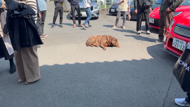 アクレ創業30周年祭の記事動画