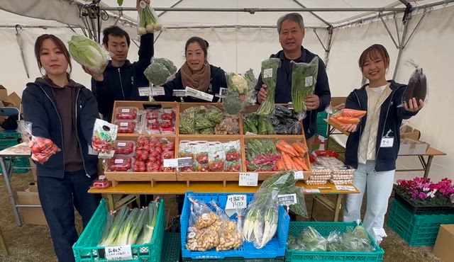 東京味わいフェスタ　豊洲へ行ってきました！の記事動画