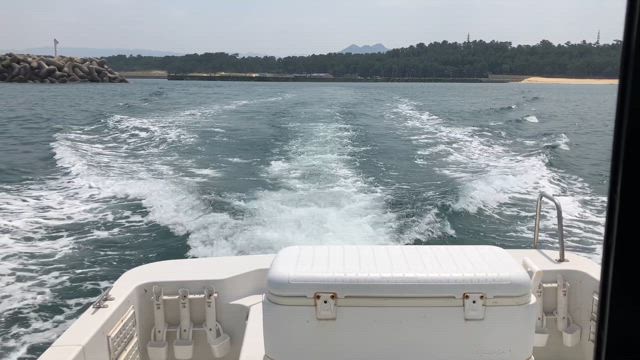 ドック入りの記事動画