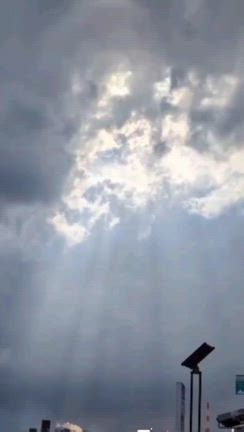 エンジェルラダーと鳩さんの記事動画