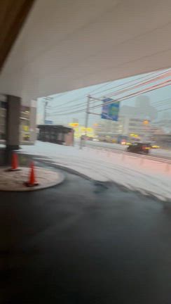 広島ってこんなに積もるのねー？！はくなの記事動画