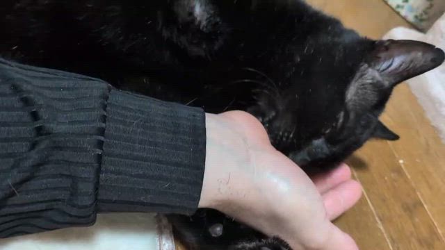 病院へGO！　～大変なんて言っては贅沢！～の記事動画