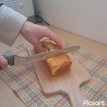 猫の日ですの記事動画